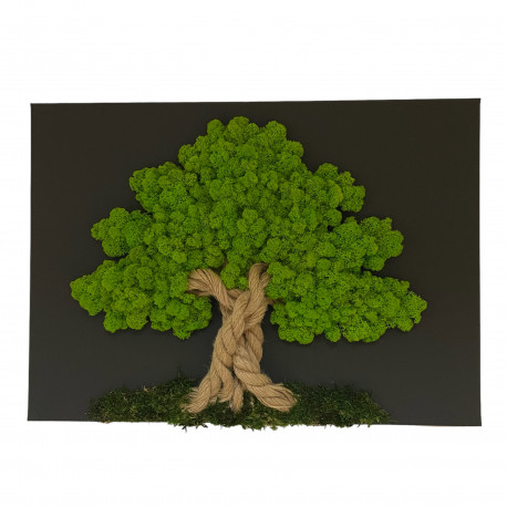 MACHOVÝ OBRAZ KQH10040